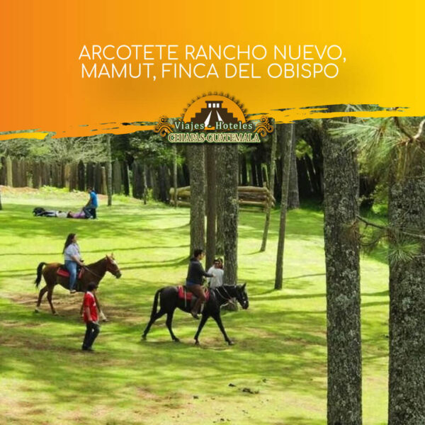 Arcotete, Rancho Nuevo, Mamut y Finca del Obispo - Viajes y Hoteles Chiapas